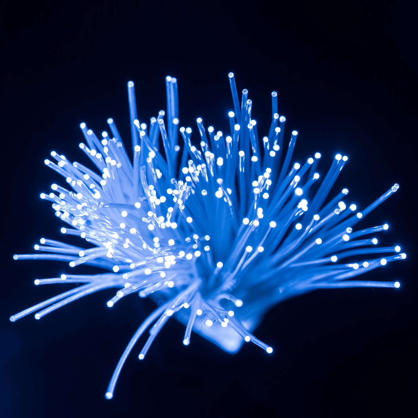 Decor Lighting Fixtures - 100 Meter Lichtgeleidende Optische Vezel 0.75mm
